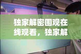独家解密围观在线观看，独家解析 