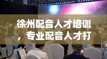 徐州配音人才培训,专业配音人才打造的全新篇章