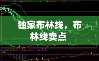 文贵天成 第3页