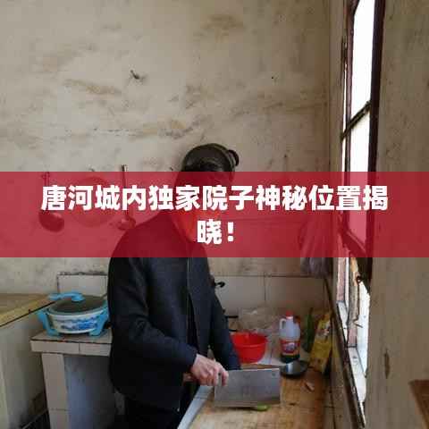 唐河城内独家院子神秘位置揭晓!