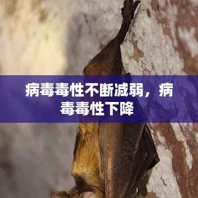 病毒毒性不断减弱，病毒毒性下降 