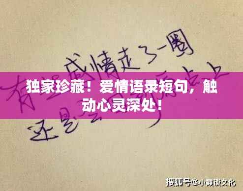 独家珍藏!爱情语录短句,触动心灵深处!