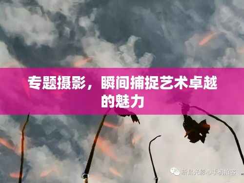 专题摄影，瞬间捕捉艺术卓越的魅力
