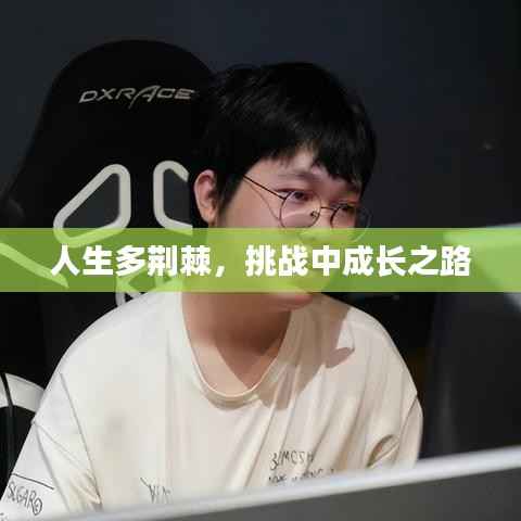 人生多荆棘,挑战中成长之路