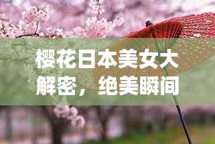 飞箭如蝗 第2页