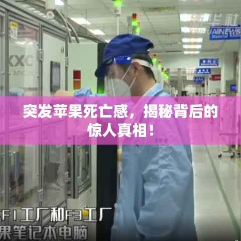 竭尽全力 第2页