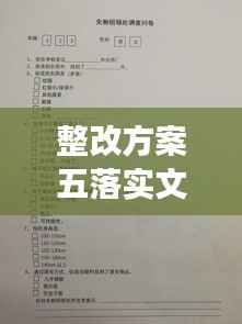 整改方案五落实文件深度解读,全面理解与实践指导