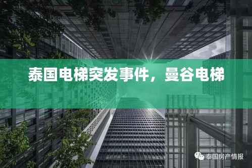 张口结舌 第2页