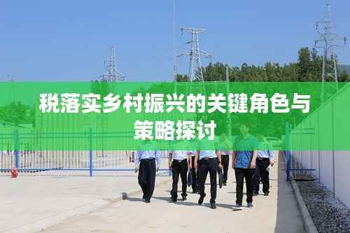 税落实乡村振兴的关键角色与策略探讨