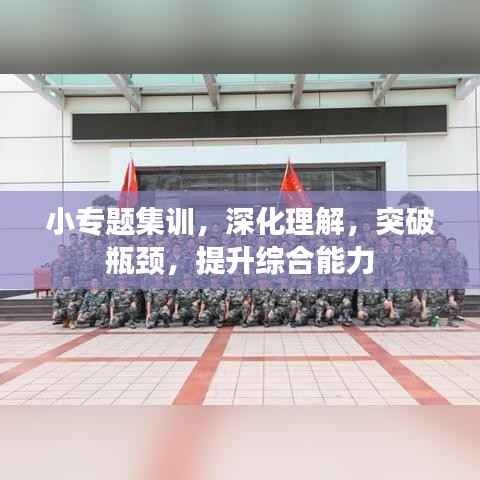 小专题集训,深化理解,突破瓶颈,提升综合能力