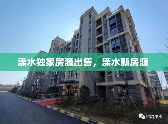 虫蚀鸟步 第2页