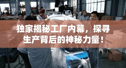 日就月将 第2页