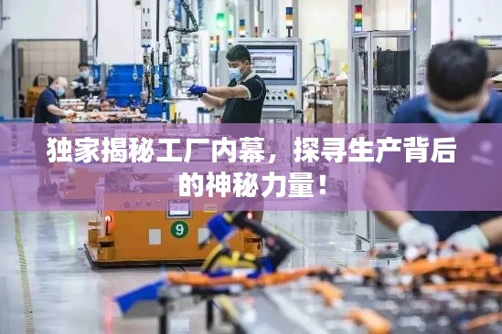 独家揭秘工厂内幕,探寻生产背后的神秘力量!