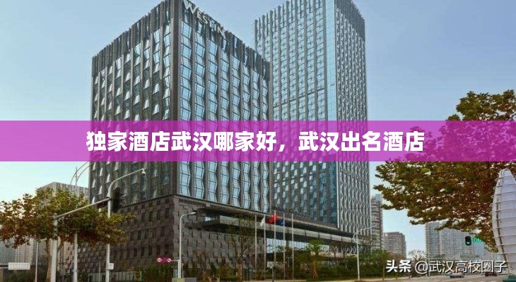 铺张扬厉 第2页