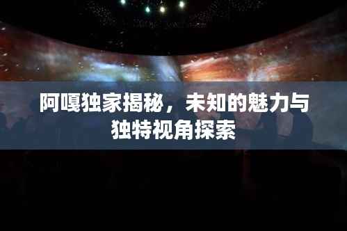 阿嘎独家揭秘,未知的魅力与独特视角探索