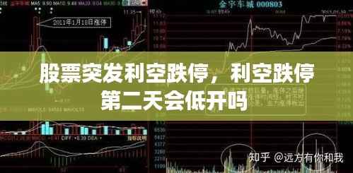 质而不俚 第2页