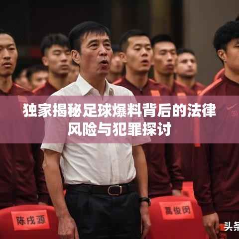 独家揭秘足球爆料背后的法律风险与犯罪探讨