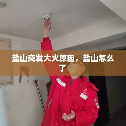 集腋成裘 第2页