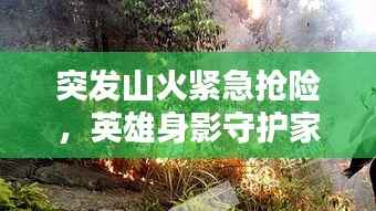 突发山火紧急抢险,英雄身影守护家园