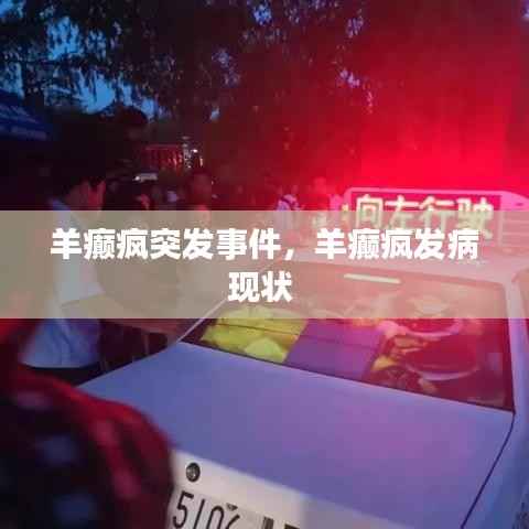 羊癫疯突发事件,羊癫疯发病现状