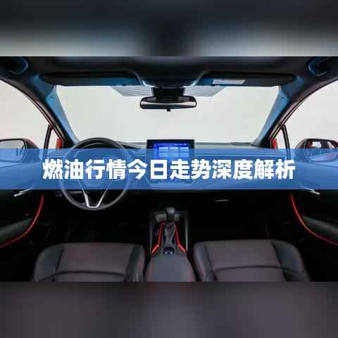 鸡飞狗跳 第2页