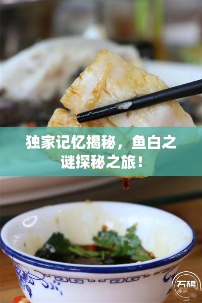独家记忆揭秘,鱼白之谜探秘之旅!