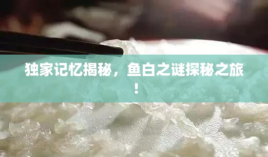 独家记忆揭秘,鱼白之谜探秘之旅!