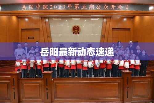 岳阳最新动态速递