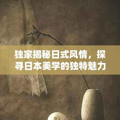 独家揭秘日式风情,探寻日本美学的独特魅力与设计风采