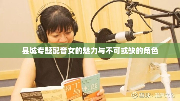 十年磨剑 第2页