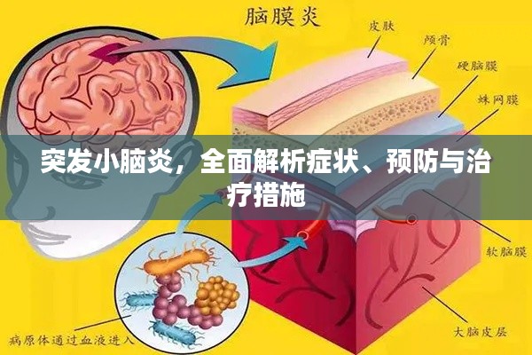 突发小脑炎,全面解析症状、预防与治疗措施