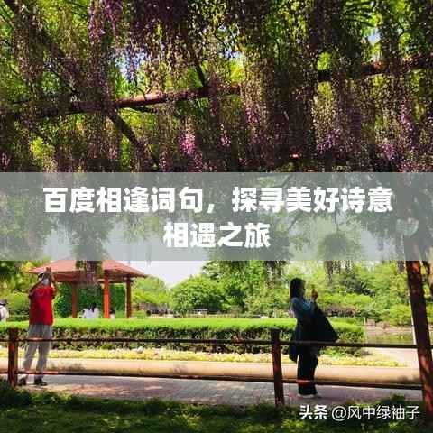 百度相逢词句,探寻美好诗意相遇之旅
