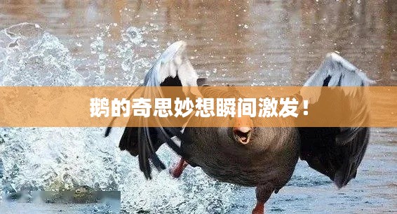 鹅的奇思妙想瞬间激发!
