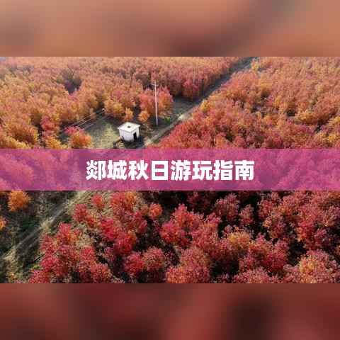 难能可贵 第2页