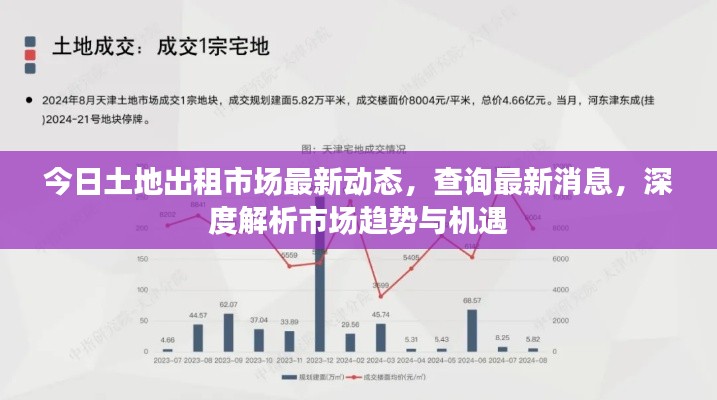 今日土地出租市场最新动态,查询最新消息,深度解析市场趋势与机遇