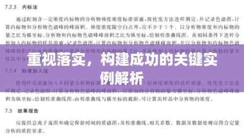 重视落实,构建成功的关键实例解析