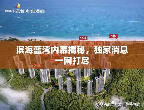 滨海蓝湾内幕揭秘,独家消息一网打尽