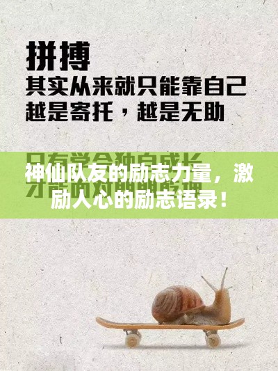 比张比李 第2页