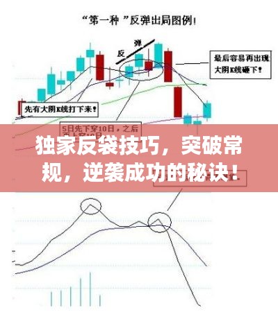 花样新翻 第2页