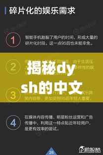 揭秘dysh的中文含义,百度独家解析助你了解真相!