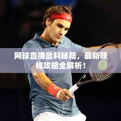 网球直播盈利秘籍，最新赚钱攻略全解析！