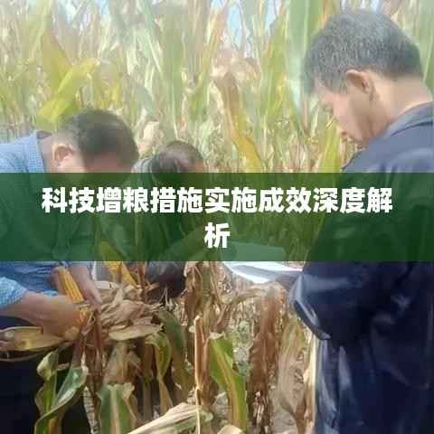 老死不相往来 第2页