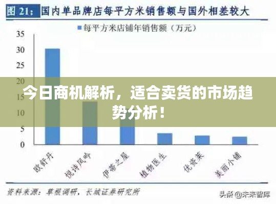 今日商机解析,适合卖货的市场趋势分析!