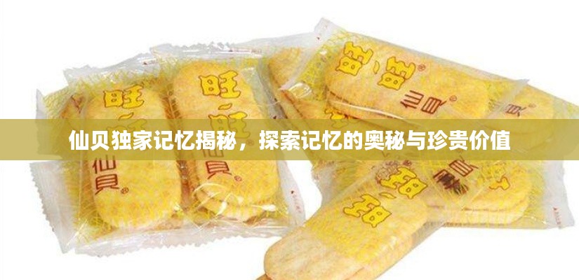 仙贝独家记忆揭秘,探索记忆的奥秘与珍贵价值