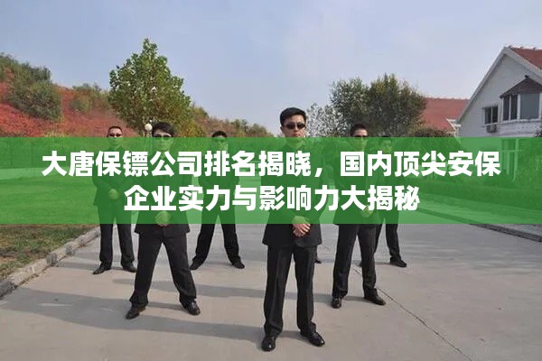 大唐保镖公司排名揭晓,国内顶尖安保企业实力与影响力大揭秘
