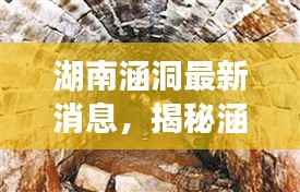 新闻中心 第152页