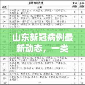 山东新冠病例最新动态，一类感冒病例最新消息揭秘