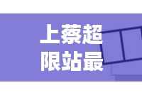上蔡超限站最新动态揭秘,今日消息一网打尽!