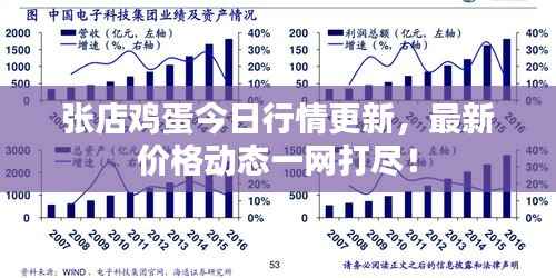 张店鸡蛋今日行情更新,最新价格动态一网打尽!