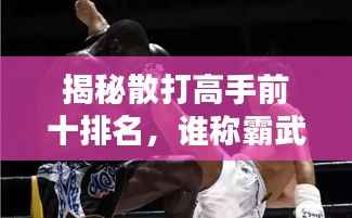 揭秘散打高手前十排名,谁称霸武林之巅?